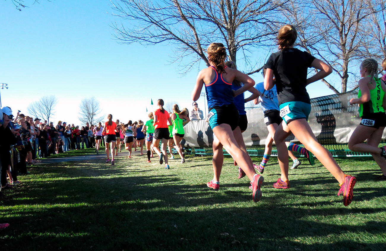 farmama-runners-2365067